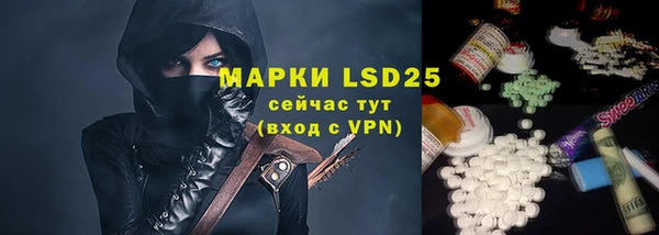 мдпв Щигры