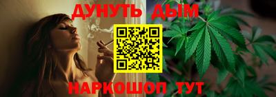 прущие крисы Гусев