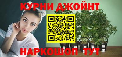 прущие крисы Гусев