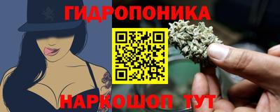прущие крисы Гусев