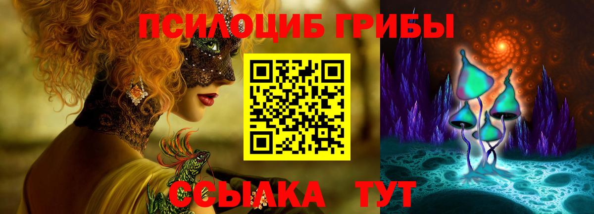 как найти закладки  Вход с VPN  Мурманск  Галлюциногенные грибы MAGIC MUSHROOMS 