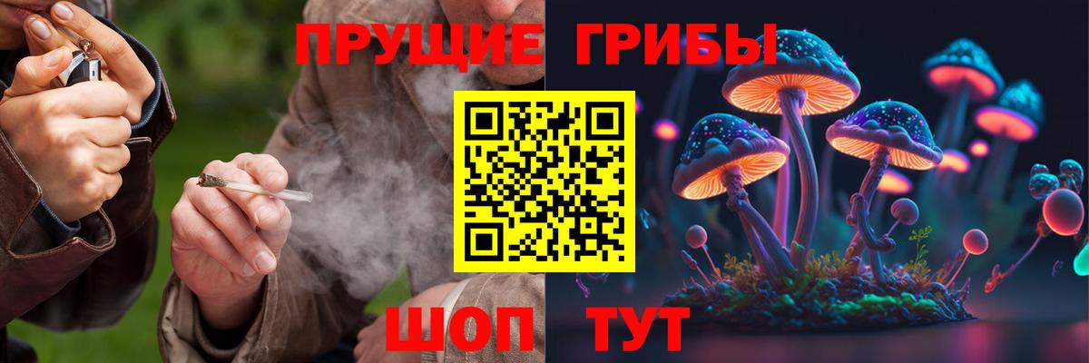 Галлюциногенные грибы GOLDEN TEACHER Мурманск